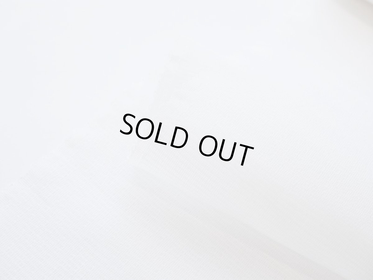 画像5: kaonn original 刺繍夏袋帯 (5)