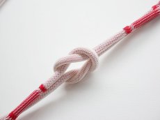 画像3: 夏帯締め　summer rope (3)