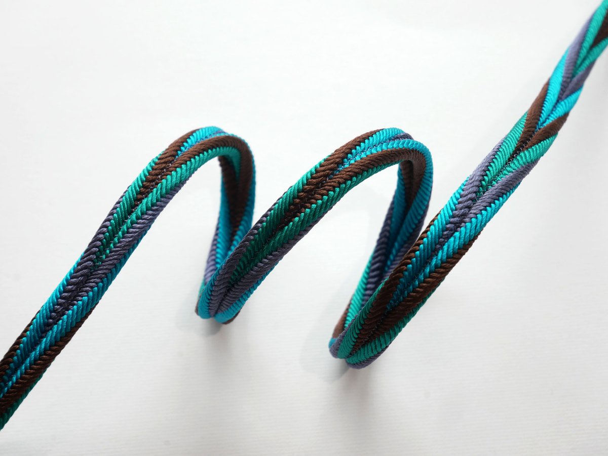 画像9: 【3/21新色入荷】帯締め　カラフルバイヤス21 (9)